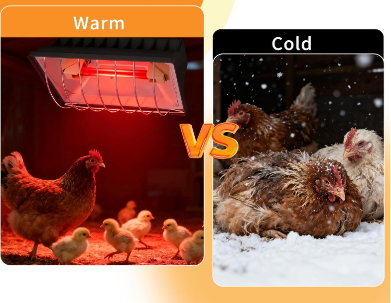 Bulk buy farm heaters
