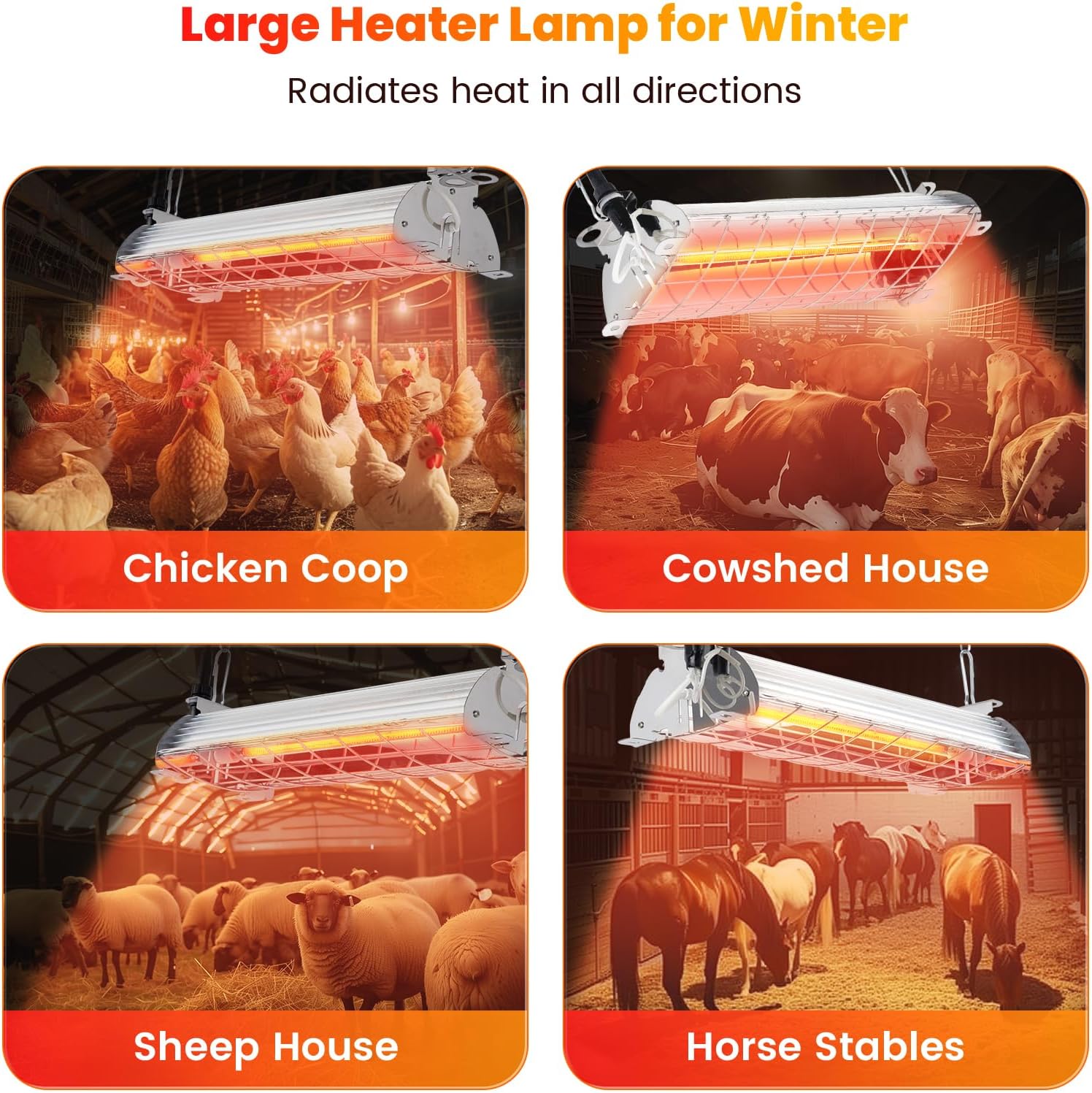 Custom horse solarium design OEM